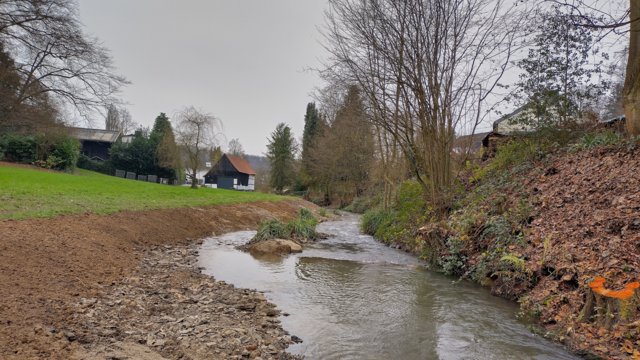 Aufweitung Murbach im Bereich Wiese Aufweitung Murbach im Bereich Wiese